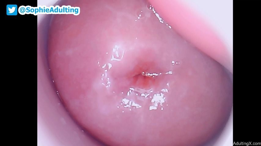 Full Webcam Show March 21 2022 - Mar 22, 2022