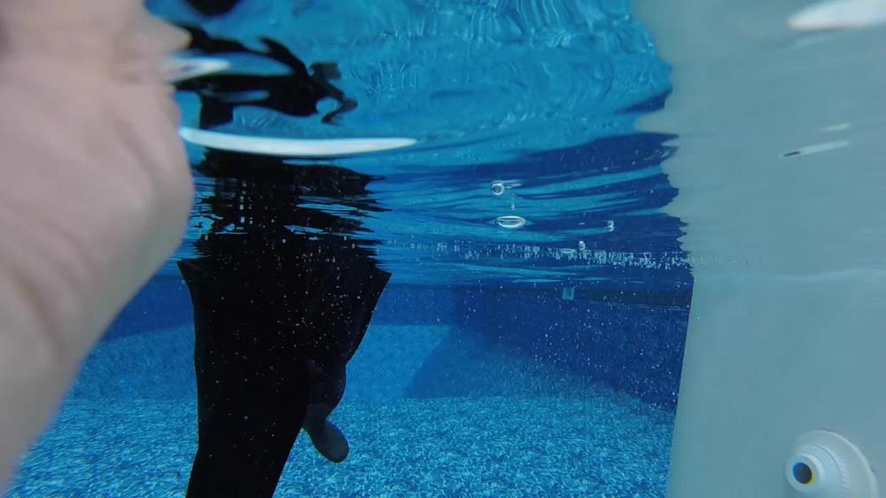 Buddahsplayground Waders In Cold Pool