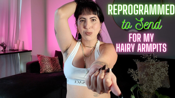 Reprogrammed to Send for Hairy Armpits