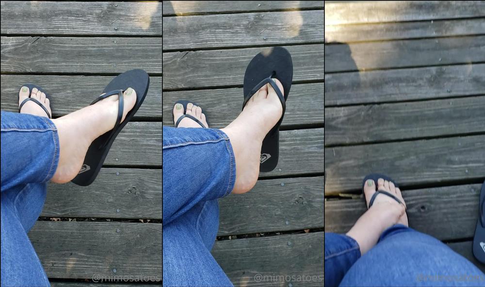 mimosatoes 08 03 2021 2049330407 Were you watching me dangle my flip flop or were you watching the ducks go by