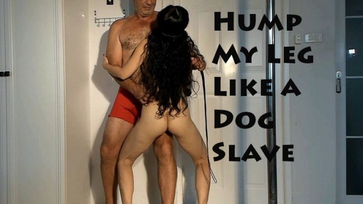 Misslawanda Slave Misslawanda Humps My Leg Like A Da