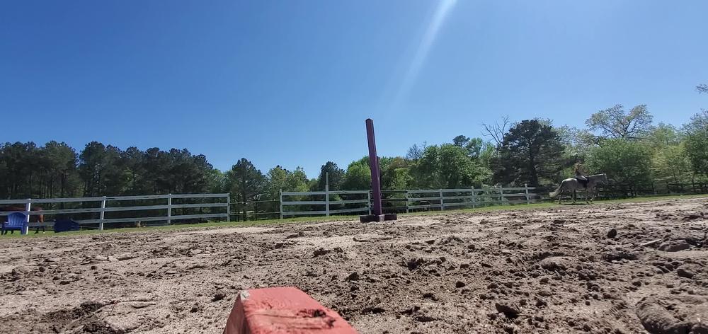 amarie301 12 11 2020 1244796004 If you're bored as fuck ....I know you're here to see tits, butttt I also ride horses. Thi