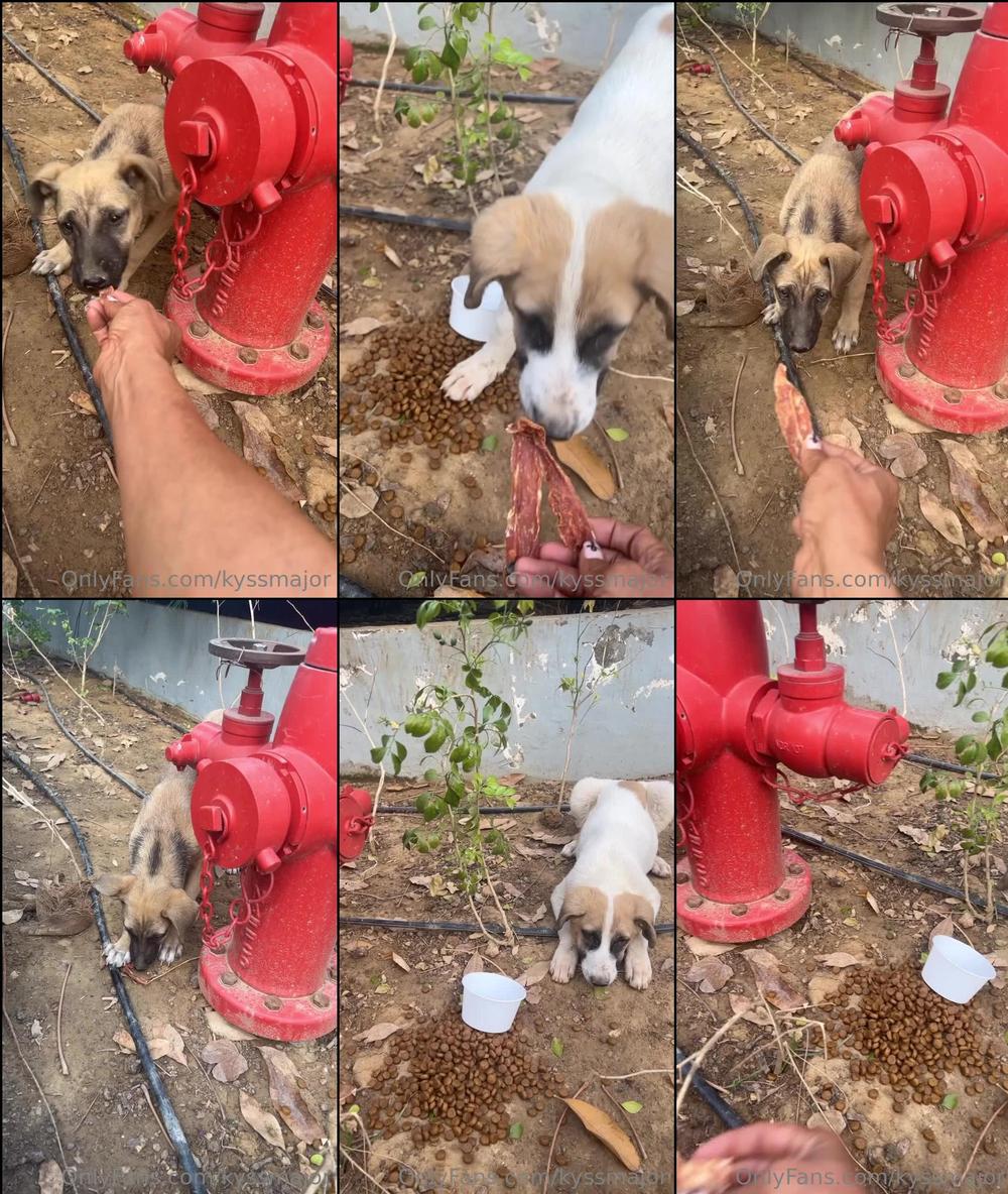 kyssmajor 538848006 2023 03 11 it hard out here for a pup 5