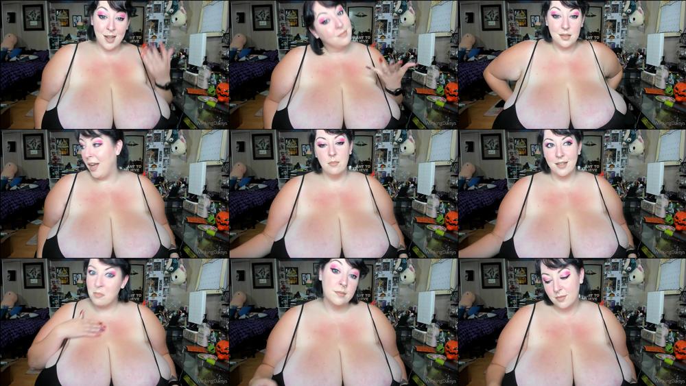 winkingdaisys 08 10 2021 2241306400 mini update xo
