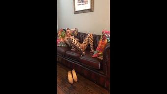 Bodystocking Tease and Pussy Play (SuzieLove212)