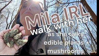 Mila IRL: Walk with Her [Plants + Mushrooms - April 29, 2024 (MilaMaeXO)