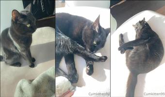 kattinthehat 235611329 2021 12 06 gooooood morning this is our morning routine i d like to submit my application for a stay at hom (kattinthehat)