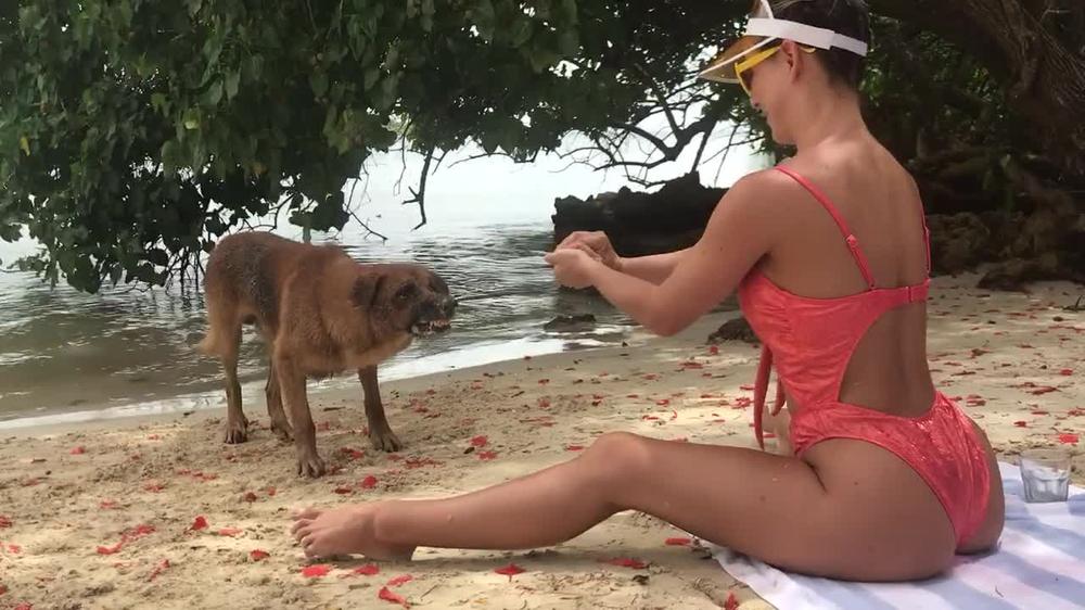 cheriedeville 05 07 2018 11034965 Playing Fetch in Jamaica