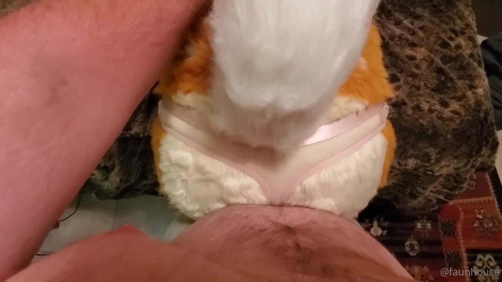 lotuslafawn 04 03 2022 2382110650 i forgot to post the actually final version of this video here anyways i need to get it