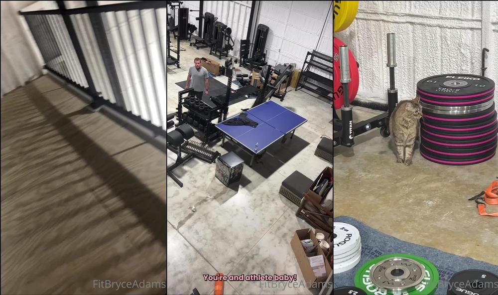 fitbryceadams 30 01 2023 2752200916 The day we brought my gym kitty Lily to her new home  @tmotp