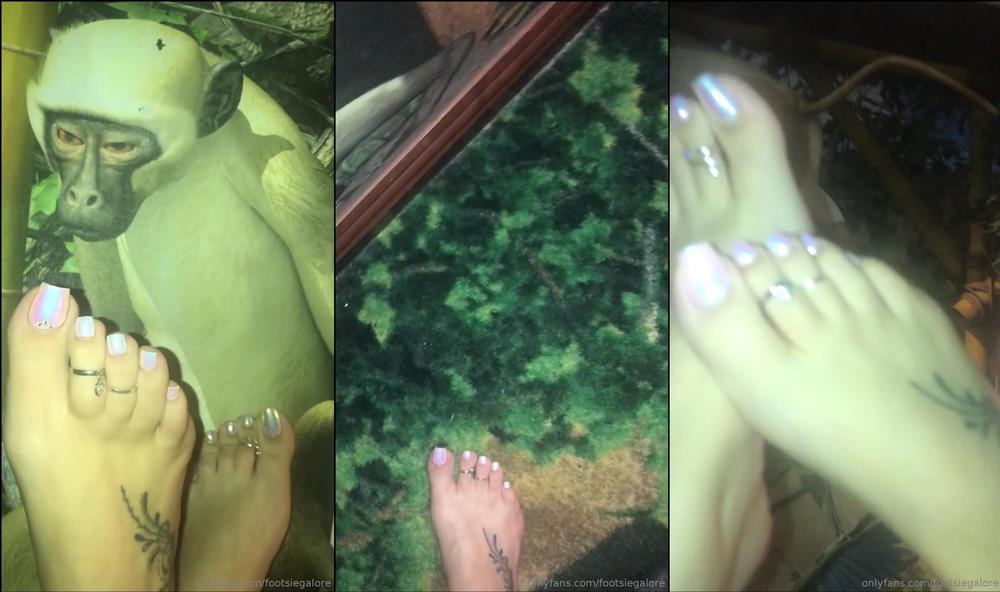 footsiegalore 17 06 2019 37917513 What draws your eye more the crazy hotel room or these cute toes