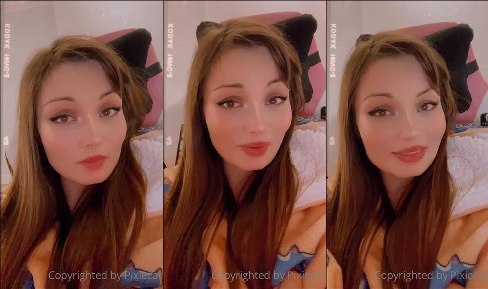 pixiecat 15 04 2021 2084001104 Update 