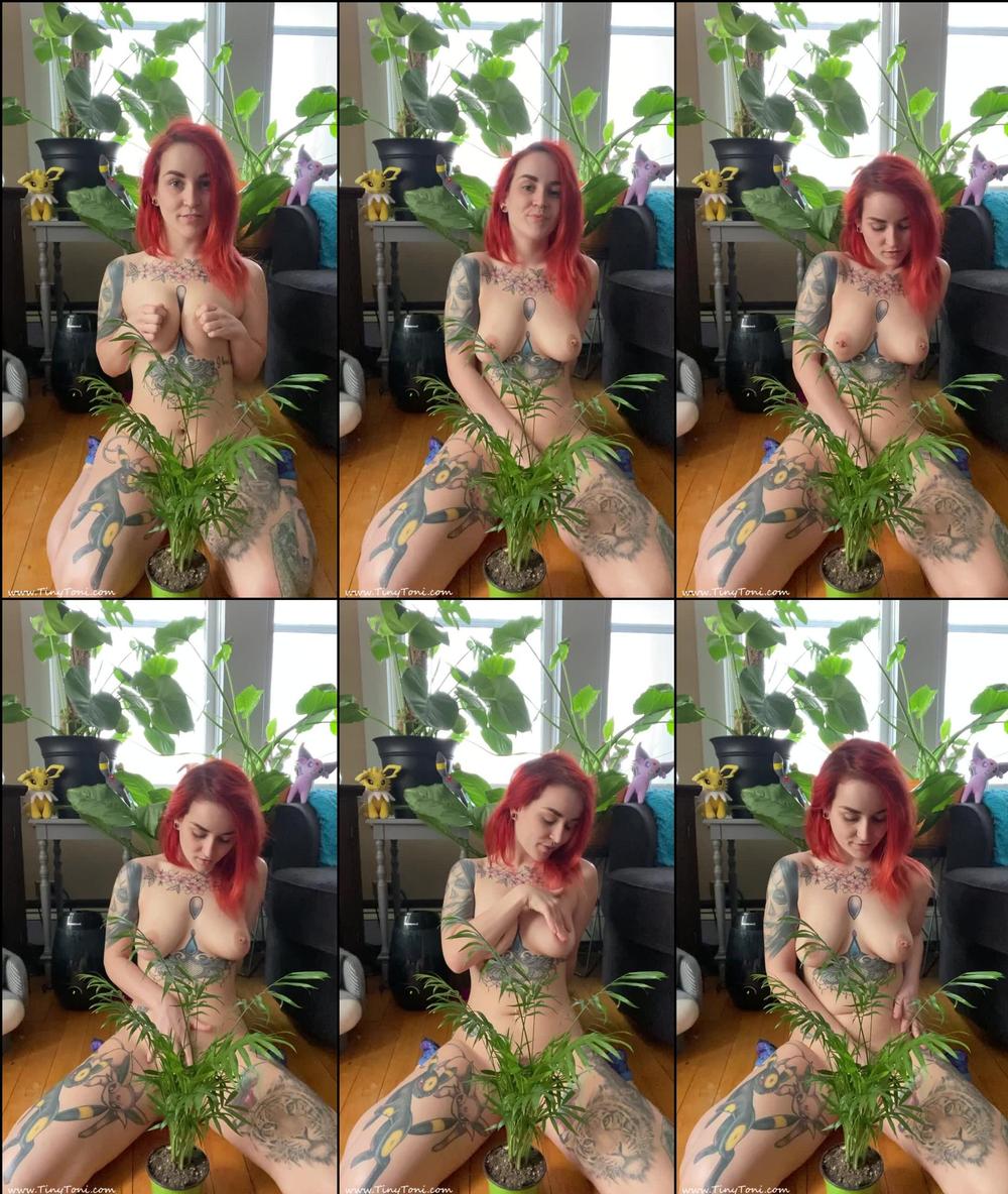 tinytoni 117345321 kind of a beautiful agony clip once my monthlies are fully over imma have to do a proper full version of this 