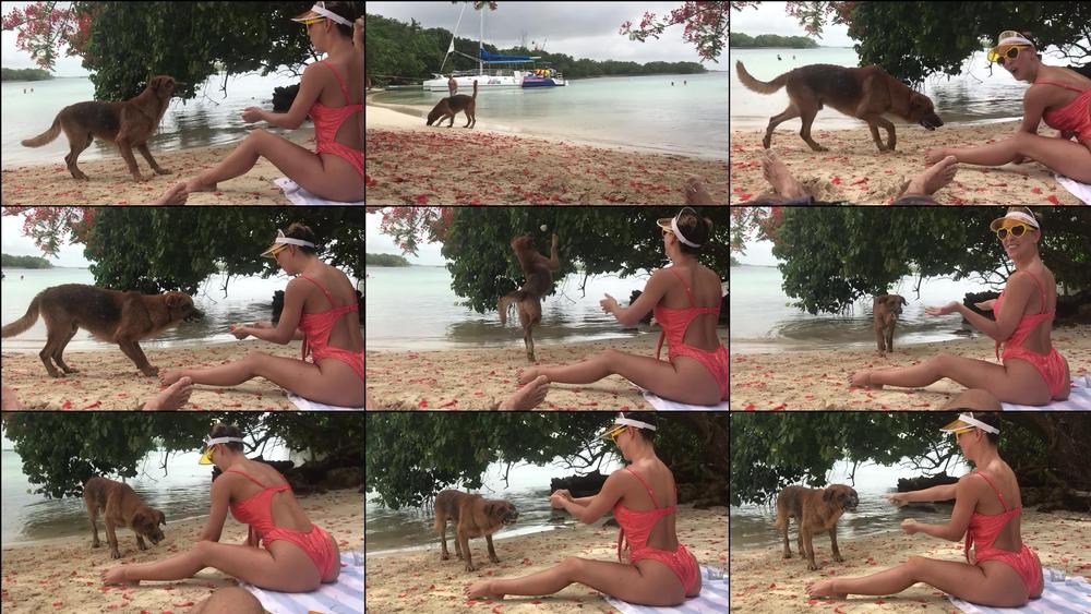 cheriedeville 05 07 2018 11034965 Playing Fetch in Jamaica