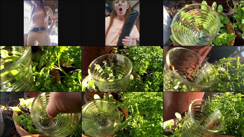 anniebody 06 02 2018 6852426 Just a few things I do in an average ; ) teasing ladybugging chocolatedonging strapon 