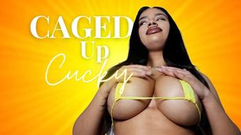 Caged Up Cucky - January 03, 2023 (MayaAryas)