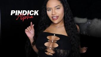 Pindick Alpha - February 08, 2025 (MayaAryas)