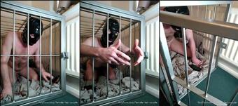 mskinkykane 448899627 stream started at 11112022 0919 am cage time for my slave help me look after him 1 (mskinkykane)