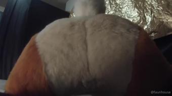 lotuslafawn 17 04 2022 2400313256 â¨â¨ (lotuslafawn)